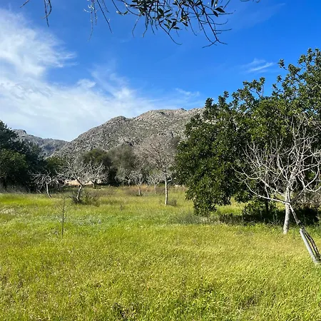 Estel - La Goleta De Mar & *