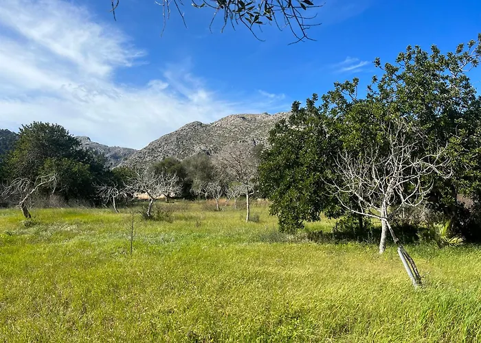 Estel - La Goleta De Mar & *